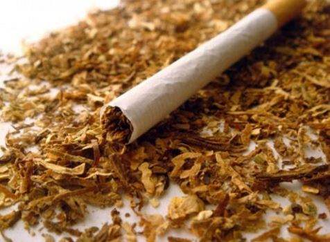 تفسير رؤية التبغ في المنام أو الحلم أحلامك نت