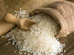 تفسير رؤية الأرزّ في المنام أو الحلم